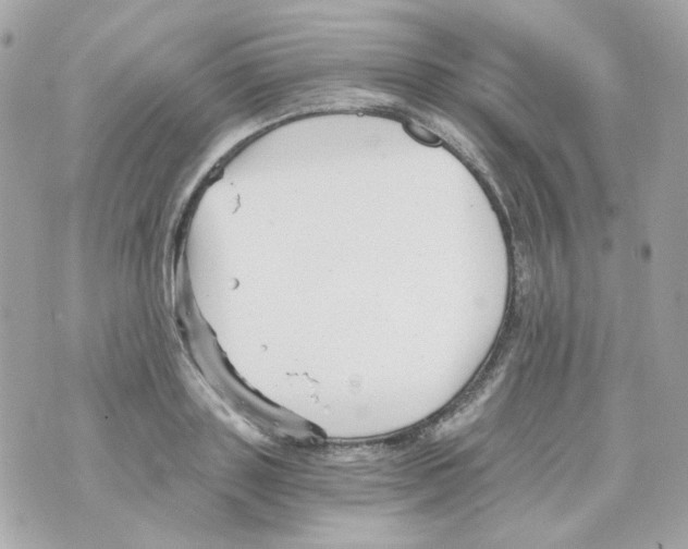 X0000069830843200606161938