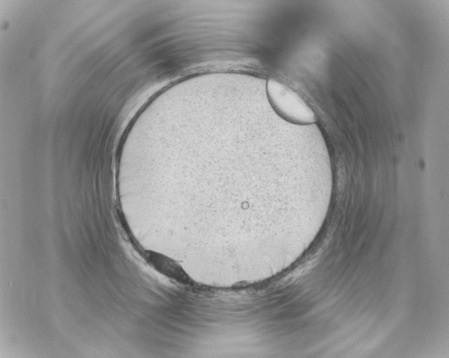 X0000069830844200606161938