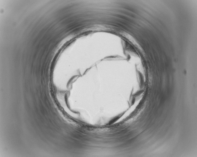 X0000069830845200606161938