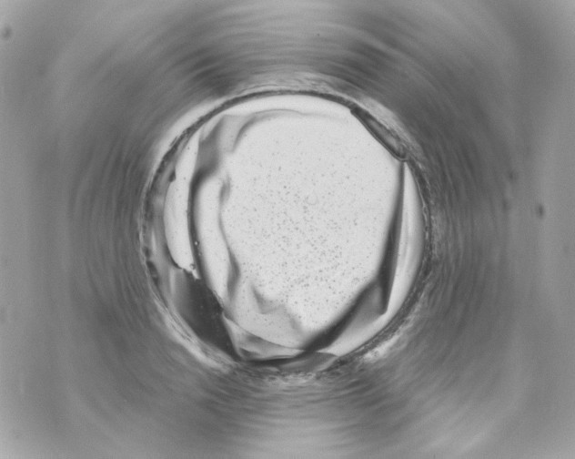 X0000069830846200606161938