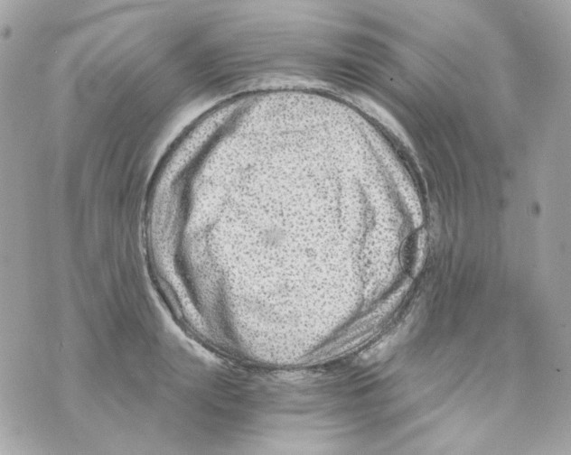 X0000069830847200606161938