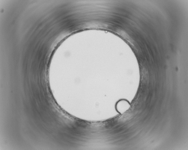 X0000069830848200606161938