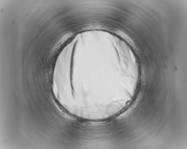 X0000069830849200606161938