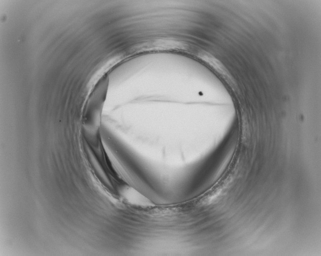 X0000069830850200606161938