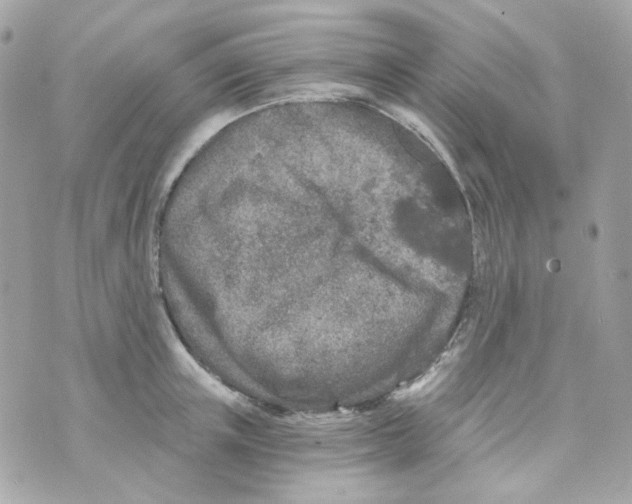 X0000069830851200606161938