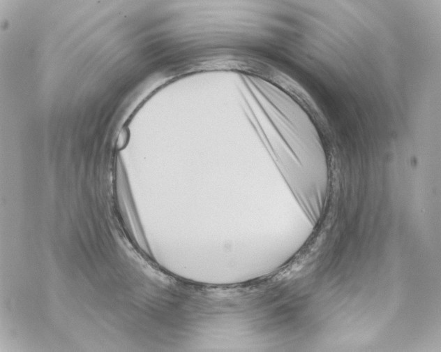 X0000069830852200606161938