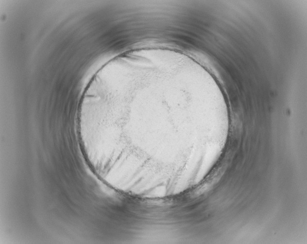 X0000069830855200606161938