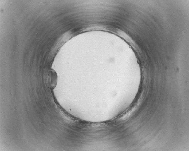 X0000069830857200606161938