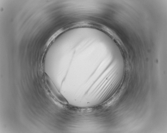 X0000069830858200606161939