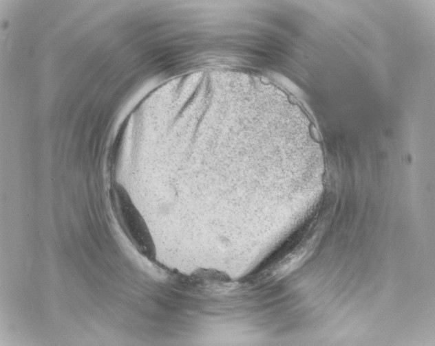 X0000069830859200606161939