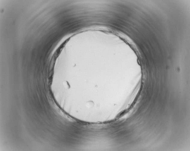 X0000069830860200606161939