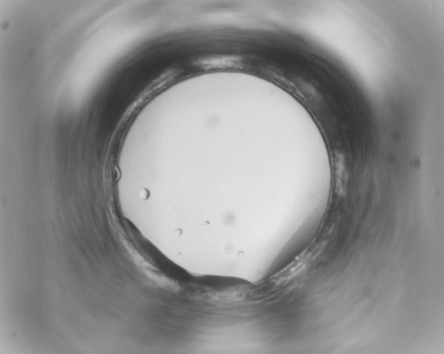 X0000069830861200606161939