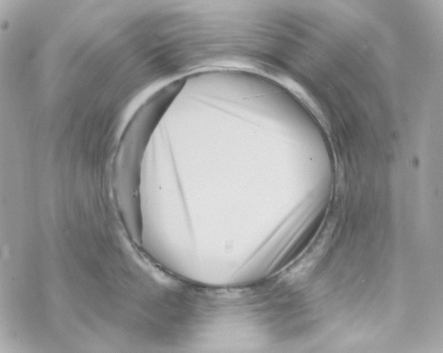 X0000069830862200606161939