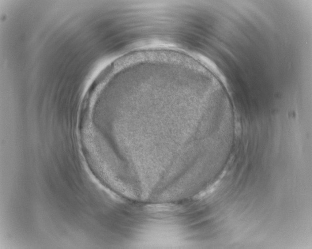 X0000069830863200606161939