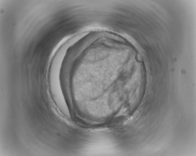 X0000069830864200606161939