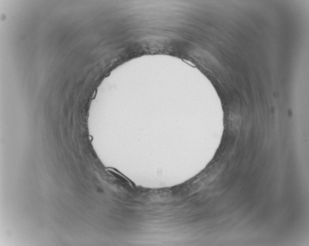 X0000069830865200606161938