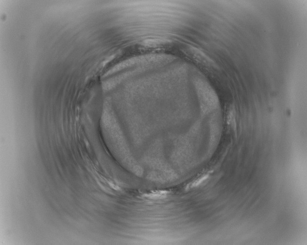 X0000069830868200606161938