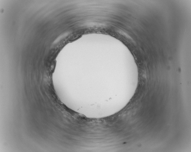 X0000069830869200606161938