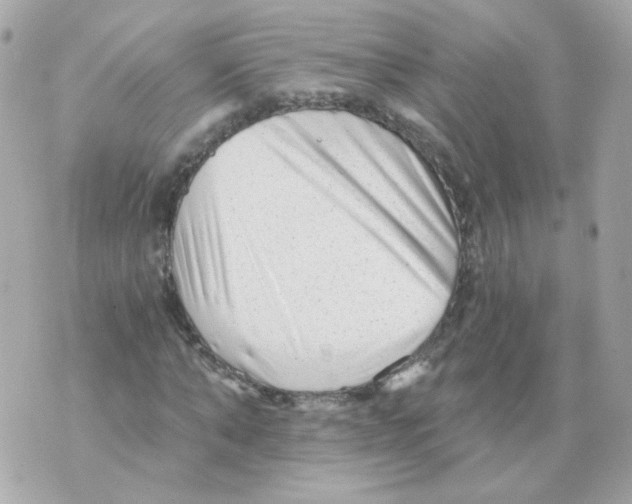 X0000069830870200606161938