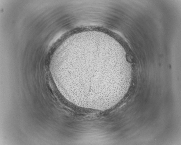 X0000069830871200606161938