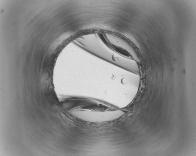 X0000069830872200606161938