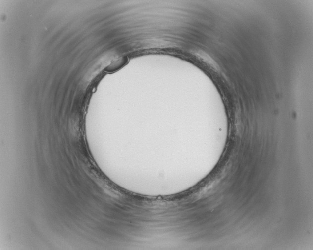 X0000069830873200606161938