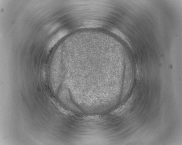 X0000069830874200606161938