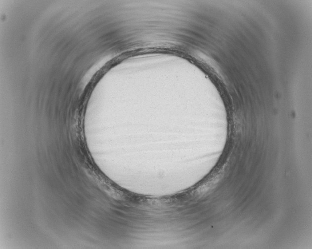 X0000069830875200606161938