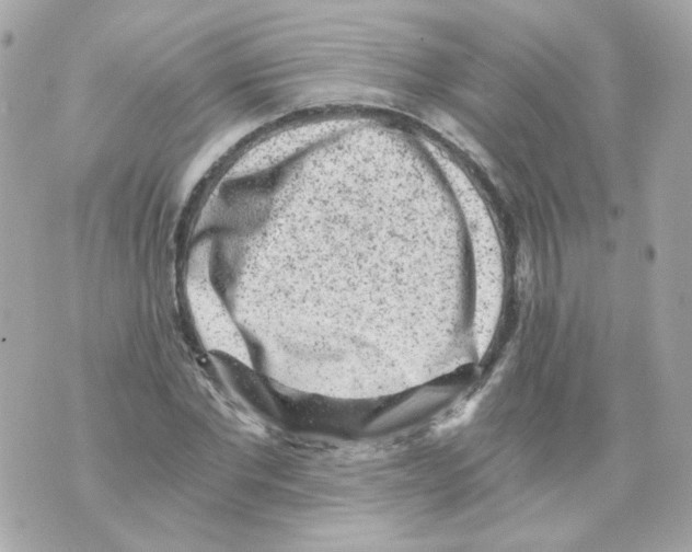 X0000069830877200606161938