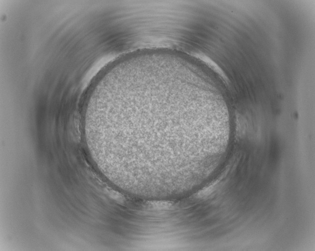 X0000069830878200606161938