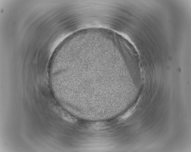 X0000069830879200606161938