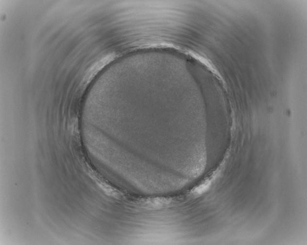 X0000069830881200606161938