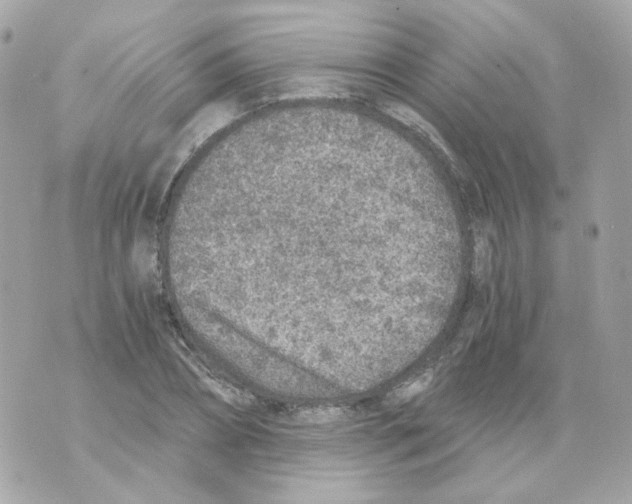 X0000069830882200606161938