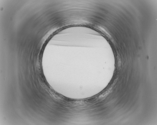 X0000069830883200606161938