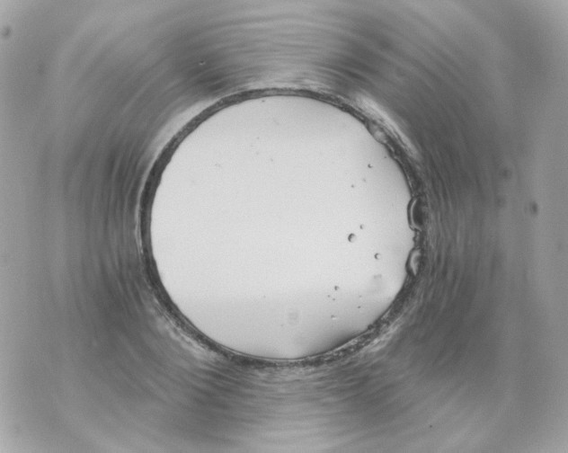 X0000069830884200606161938