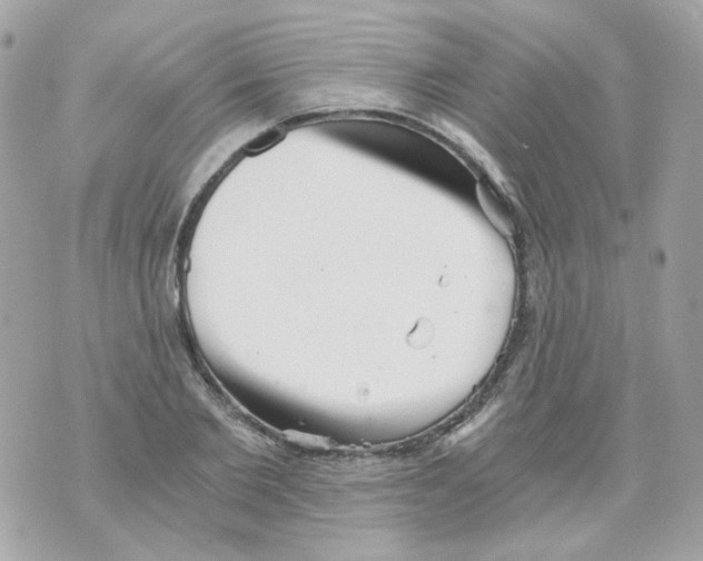 X0000069830885200606161938