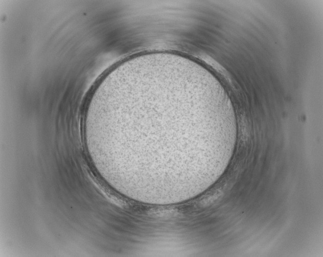 X0000069830886200606161937