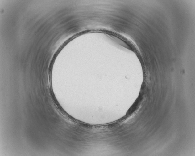 X0000069830887200606161937