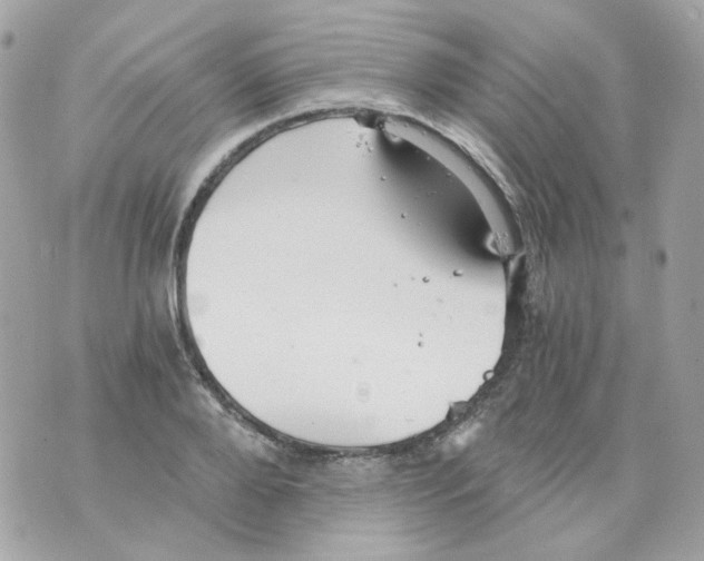 X0000069830888200606161937