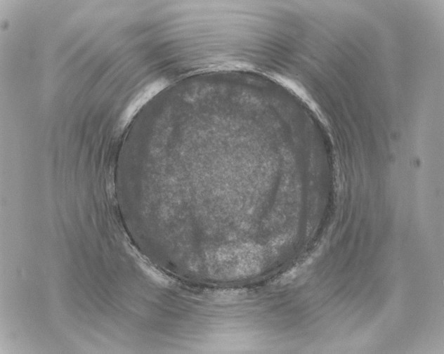 X0000069830889200606161937