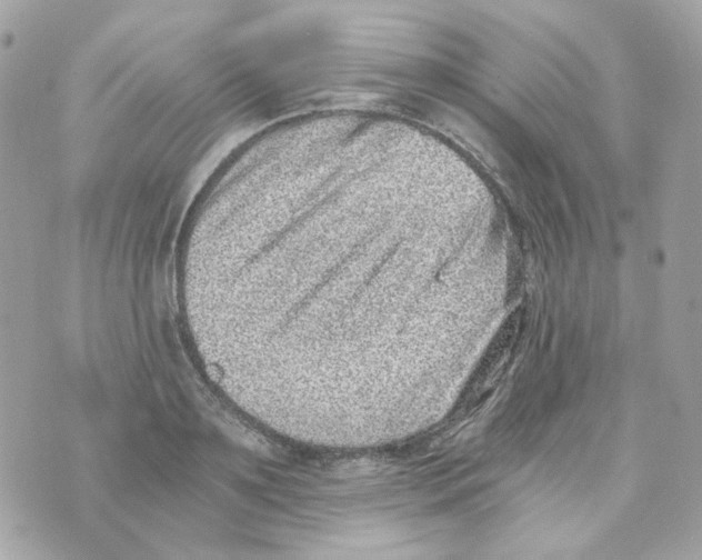 X0000069830891200606161937