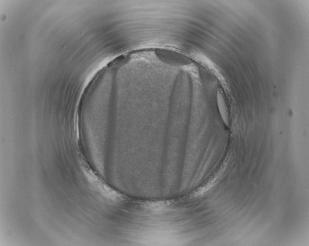 X0000069830892200606161937