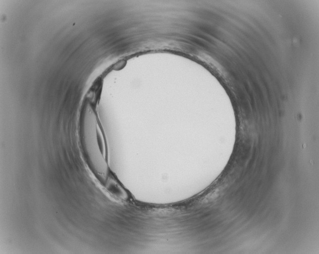 X0000069830894200606161937