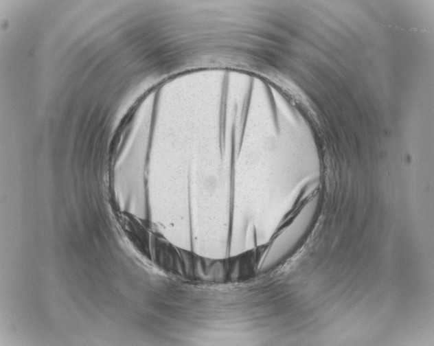 X0000069830896200606161937