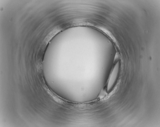 X0000069830897200606161937