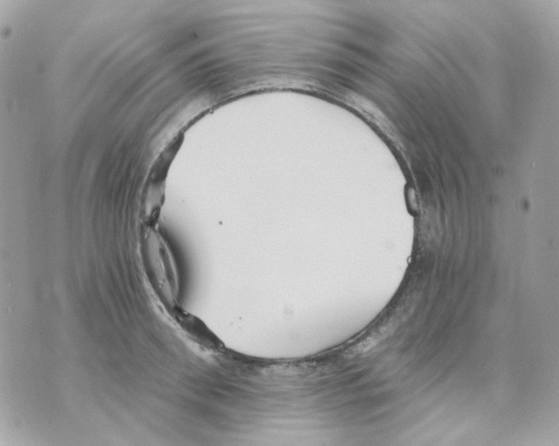 X0000069830898200606161937