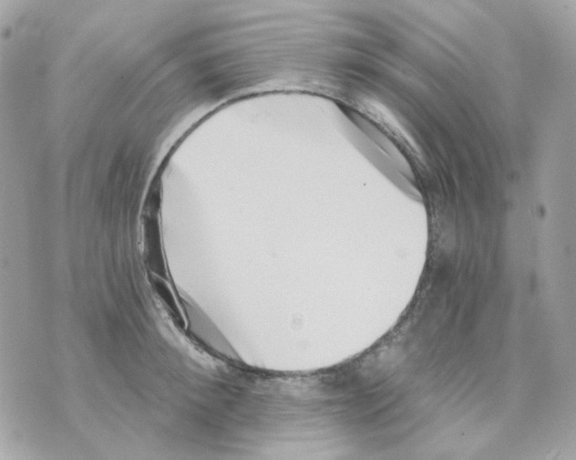 X0000069830900200606161937