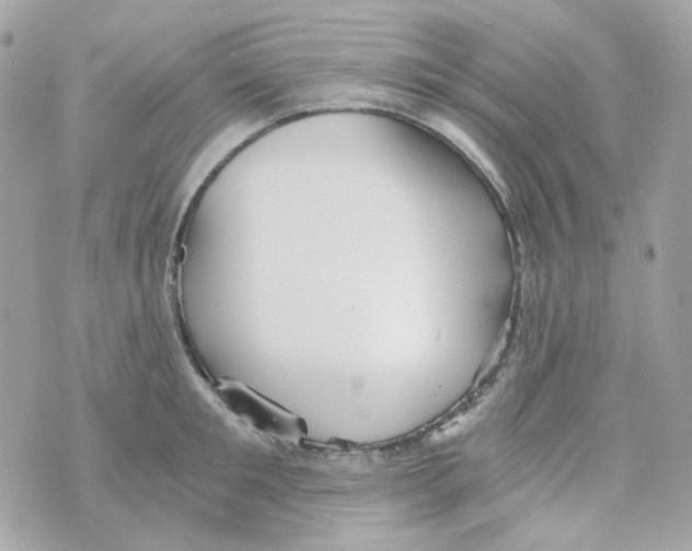 X0000069830901200606161937