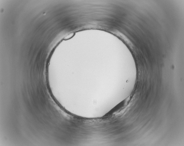 X0000069830902200606161937