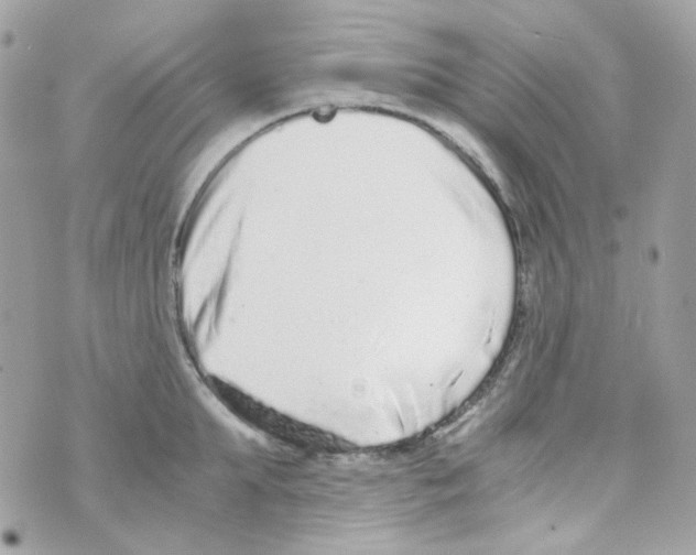 X0000069830903200606161937